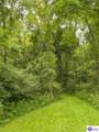 321 Fields Lane - Photo 6