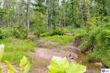 Tract 1 Cook Lane - Photo 20
