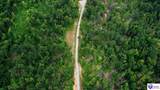 Tract 9 Cook Lane - Photo 8