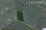 7697 Highway 1073 - Photo 8