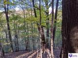 4800 Blevins Gap Road - Photo 2