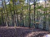 4800 Blevins Gap Road - Photo 3