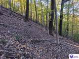 4800 Blevins Gap Road - Photo 4