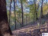 4800 Blevins Gap Road - Photo 5