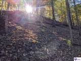 4800 Blevins Gap Road - Photo 6