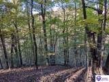 4800 Blevins Gap Road - Photo 7
