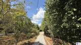 2659 Fry Ridge Road - Photo 15
