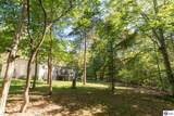 4580 Cissal Hill Road - Photo 52