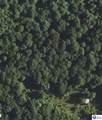 124 ACRES Cub Run Highway - Photo 1