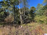 124 ACRES Cub Run Highway - Photo 6