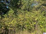 124 ACRES Cub Run Highway - Photo 8