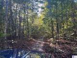 124 ACRES Cub Run Highway - Photo 2