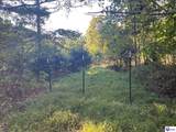 124 ACRES Cub Run Highway - Photo 3