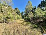 124 ACRES Cub Run Highway - Photo 5
