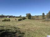 Tract 1 Laton Turner Road - Photo 42