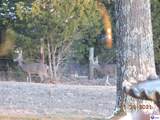 1020 Yates Chapel Road - Photo 41
