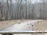 1020 Yates Chapel Road - Photo 43