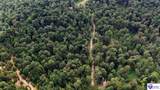 Tract 13 Cook Lane - Photo 4