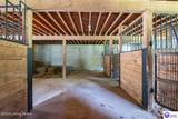 3297 Gap Hill Road - Photo 73