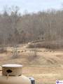 1096 Eastview Road - Photo 95