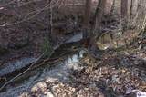 1384 Oil Fork Road - Photo 39