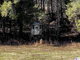 1384 Oil Fork Road - Photo 48