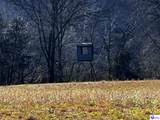 1384 Oil Fork Road - Photo 57