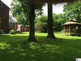 113 Graham Court - Photo 62