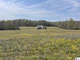 TRACT 4 Price Hill Spur Road - Photo 17
