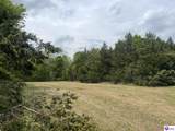 TRACT 4 Price Hill Spur Road - Photo 24