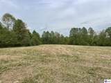 TRACT 3 Price Hill Spur Road - Photo 10