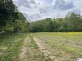 TRACT 3 Price Hill Spur Road - Photo 13