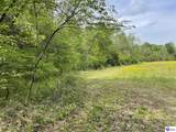 TRACT 3 Price Hill Spur Road - Photo 15