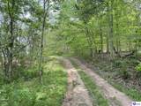 TRACT 3 Price Hill Spur Road - Photo 9