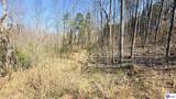 2358 Fry Ridge Road - Photo 14