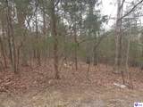 137 Primrose Lane - Photo 5