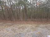 137 Primrose Lane - Photo 8