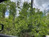2208 Rocky Hill Road - Photo 17