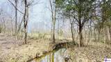 425 Macedonia Road - Photo 6