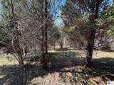 243 Lm Basham Lane - Photo 13
