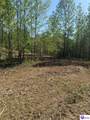 TRACT 2 Jones School Road - Photo 34