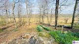 294 Browns Hideaway Lane - Photo 8