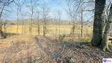 294 Browns Hideaway Lane - Photo 9