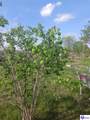 961 Stovall Road - Photo 10