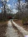 225 Mockingbird Lane - Photo 42