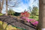 812 Burgundy Court - Photo 19