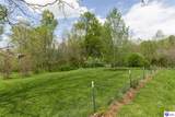 103 Flushing Meadows Drive - Photo 38