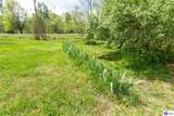 103 Flushing Meadows Drive - Photo 47