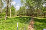 103 Flushing Meadows Drive - Photo 52