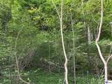 0 River Bluff Beach Road - Photo 20